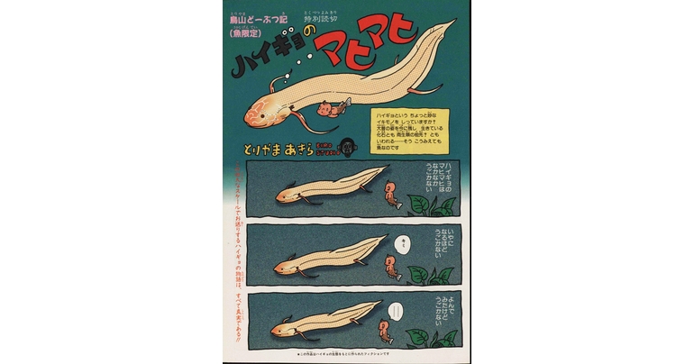 Dragon Ball-ism Toriyama Showcase #4: Mahimahi the Lungfish!