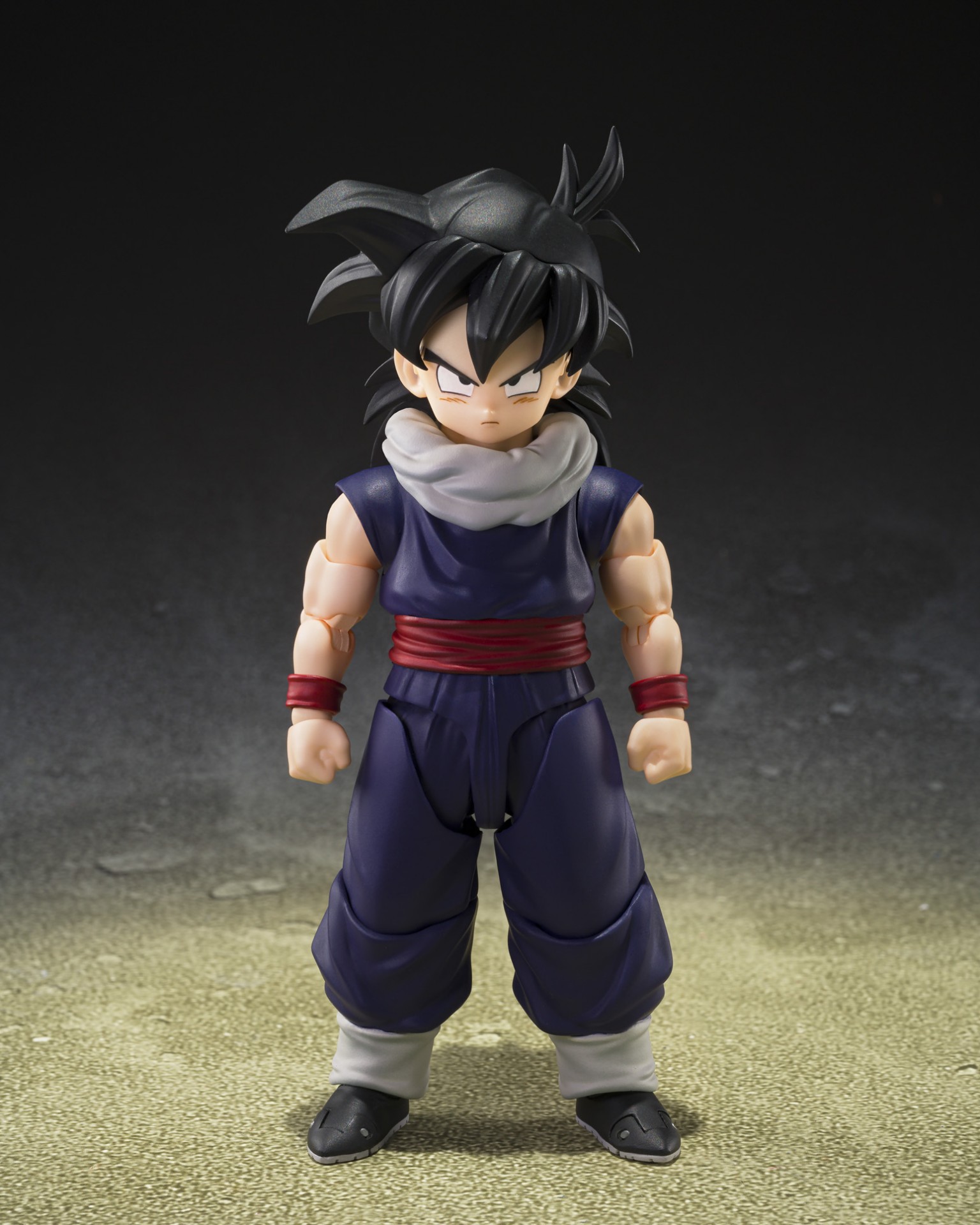 Z Fighter Gohan (Limited First Edition Z Fighter Type-A Display
