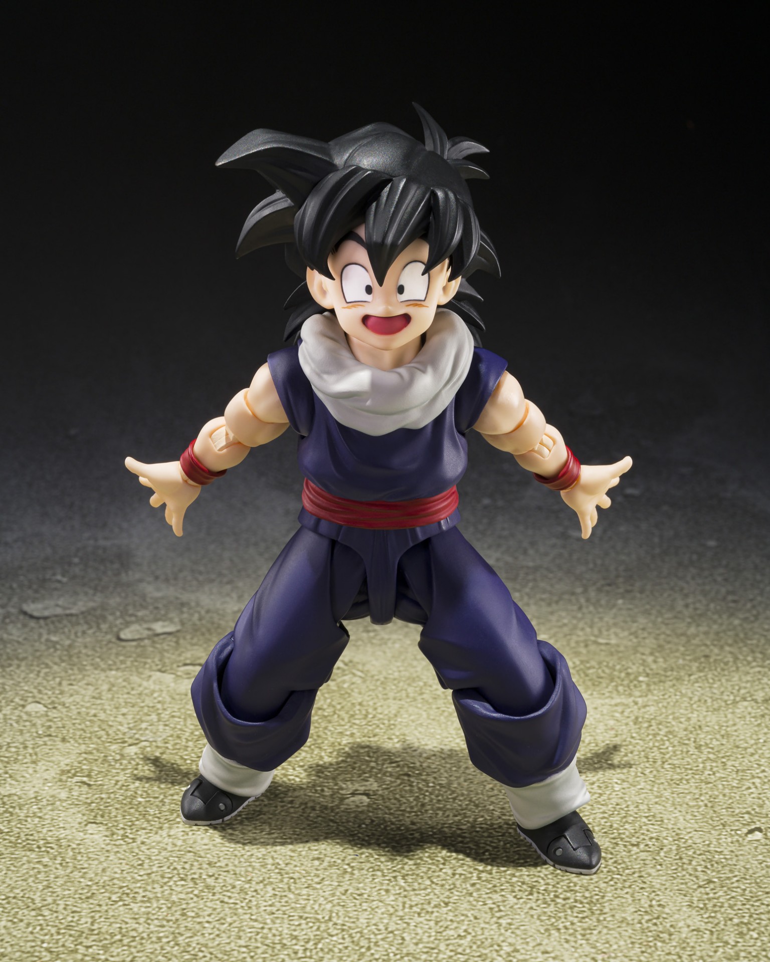 Z Fighter Gohan (Limited First Edition Z Fighter Type-A Display