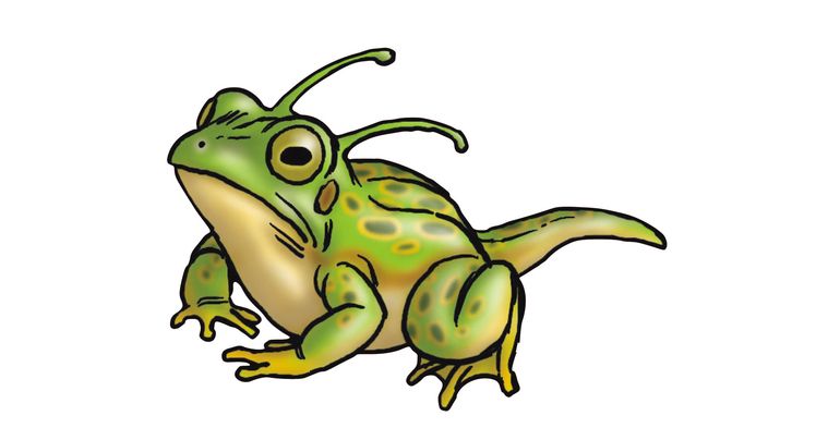 Weekly ☆ Character Showcase #264: Frog!